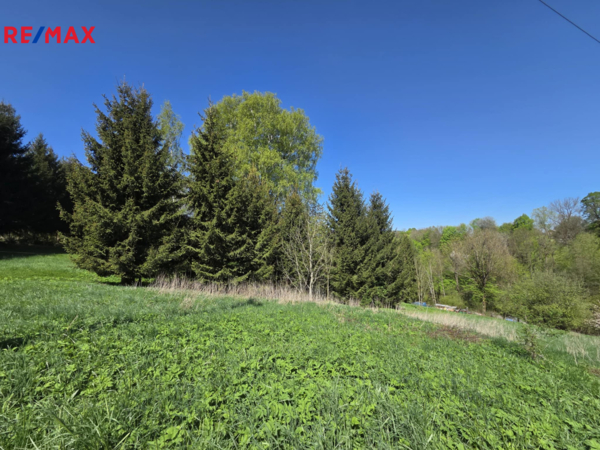 REMAX Delux