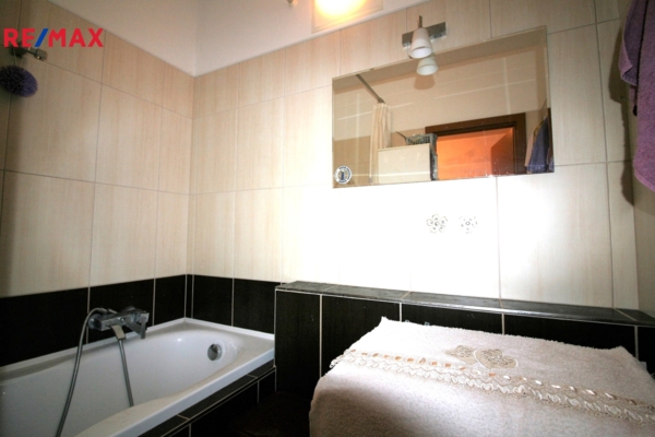 REMAX Delux
