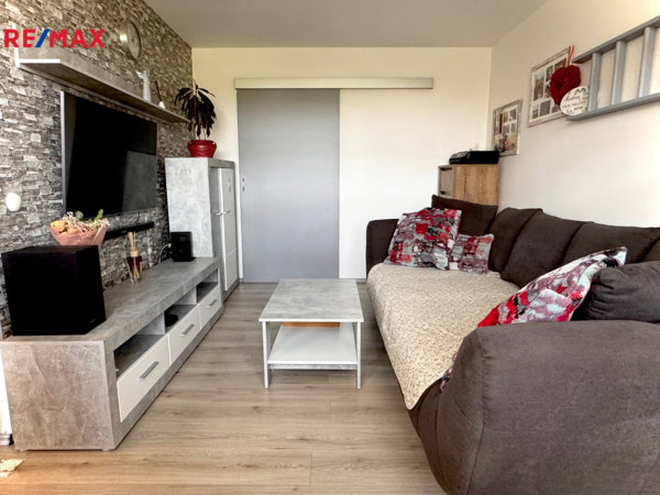 REMAX Delux