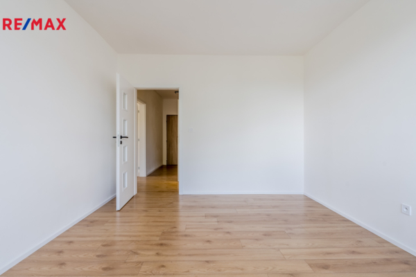 REMAX Delux