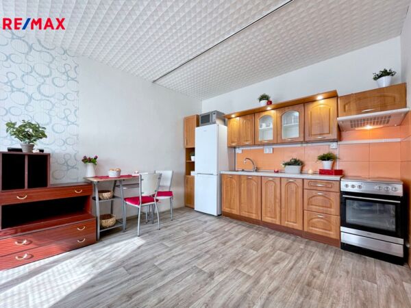 REMAX Delux