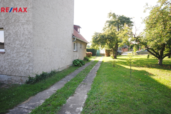 2944353.jpg