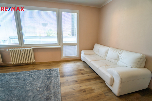 REMAX Delux