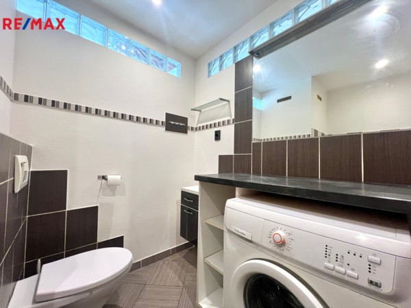 REMAX Delux