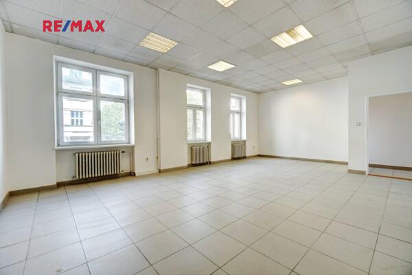 REMAX Delux