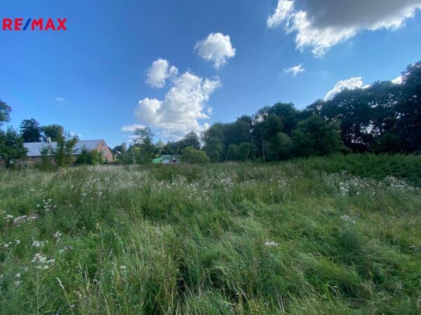 REMAX Delux