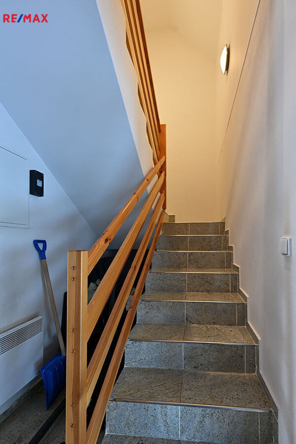 REMAX Delux