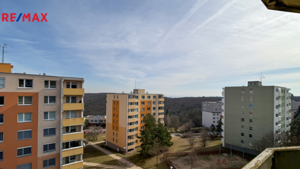 2679870.jpg