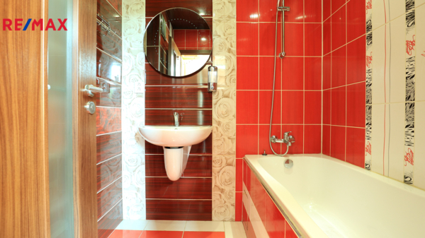 REMAX Delux