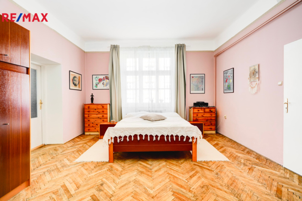 REMAX Delux