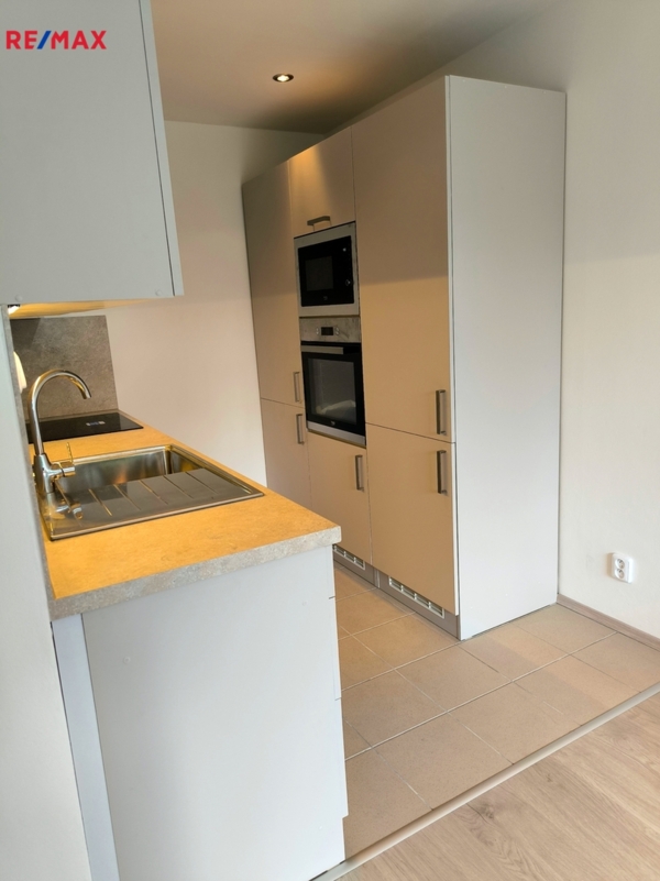REMAX Delux