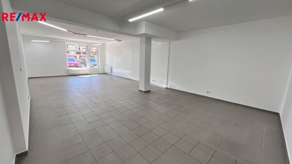 REMAX Delux