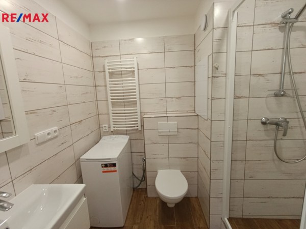 REMAX Delux