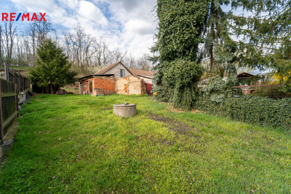 REMAX Delux