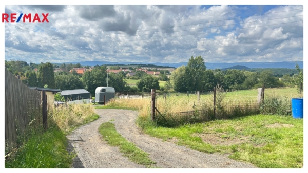 Žalany