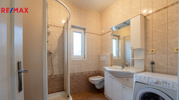 REMAX Delux