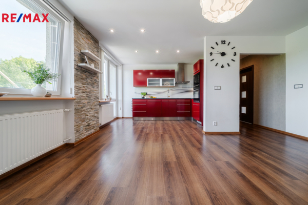 REMAX Delux
