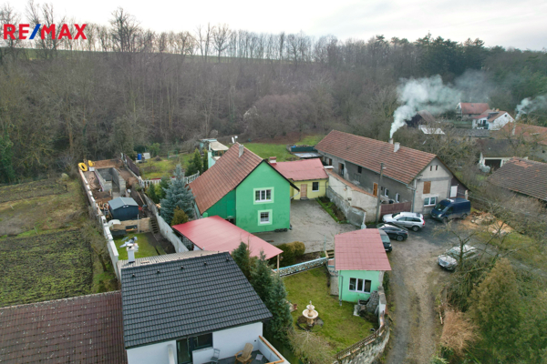Sazená