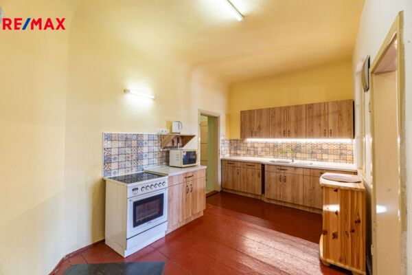 REMAX Delux