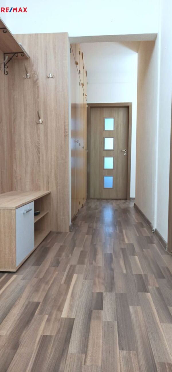 REMAX Brno