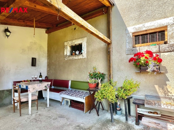 REMAX Delux