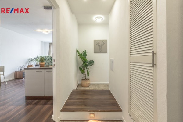 REMAX Delux