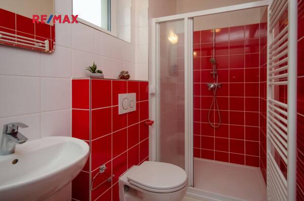 REMAX Delux