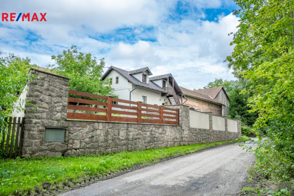 REMAX Delux