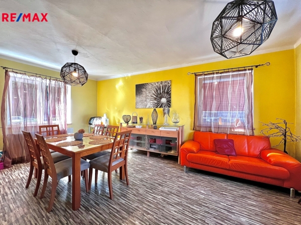 REMAX Delux