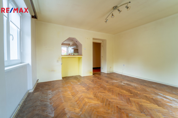 REMAX Delux