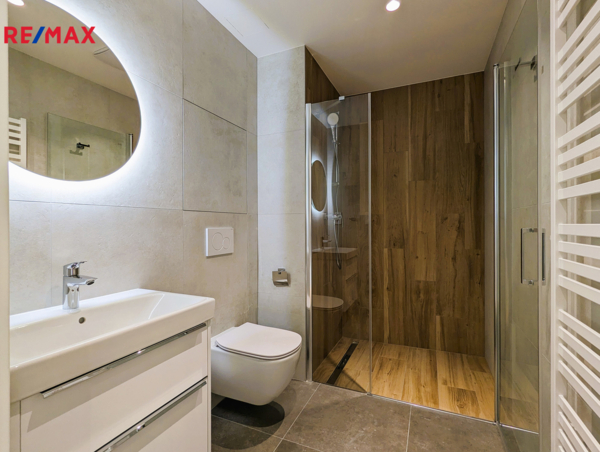 REMAX Delux