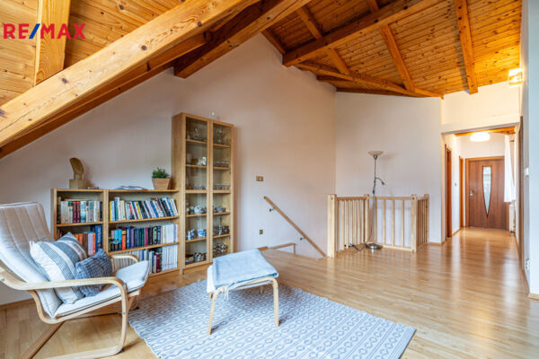 REMAX Delux