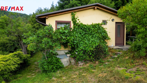 REMAX Brno
