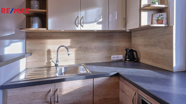 REMAX Delux