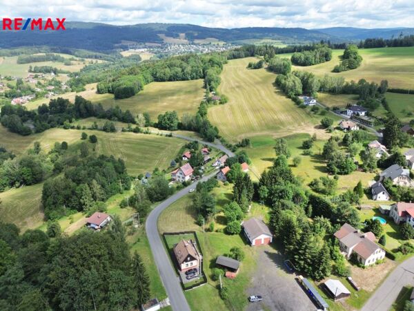 REMAX Delux
