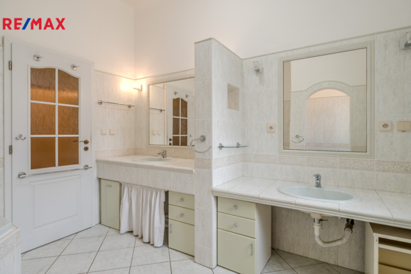 REMAX Delux