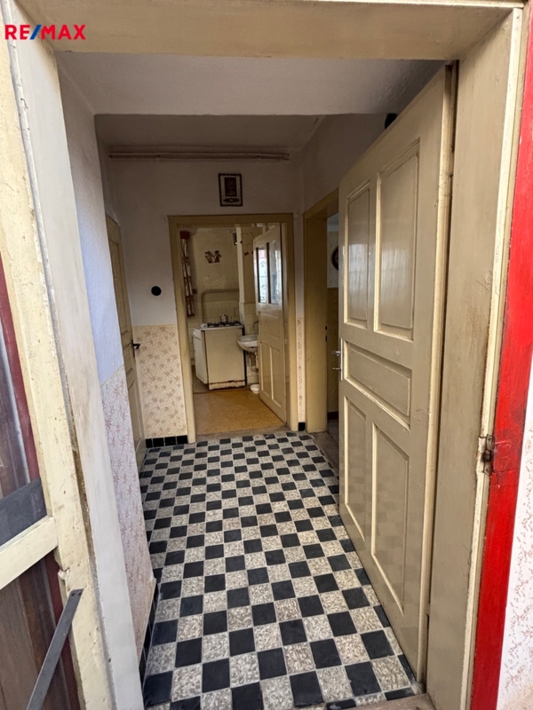 REMAX Delux