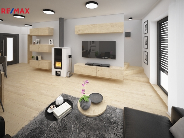 REMAX Delux