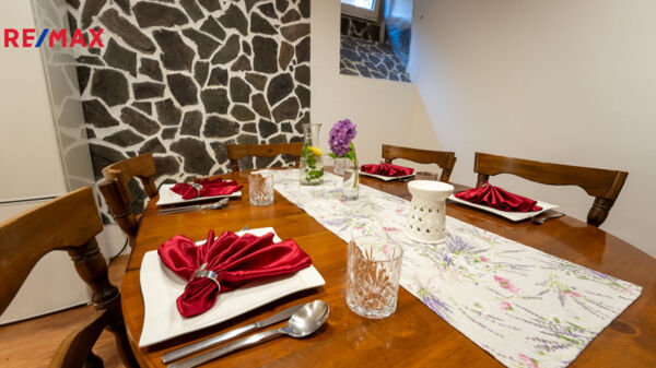 REMAX Delux