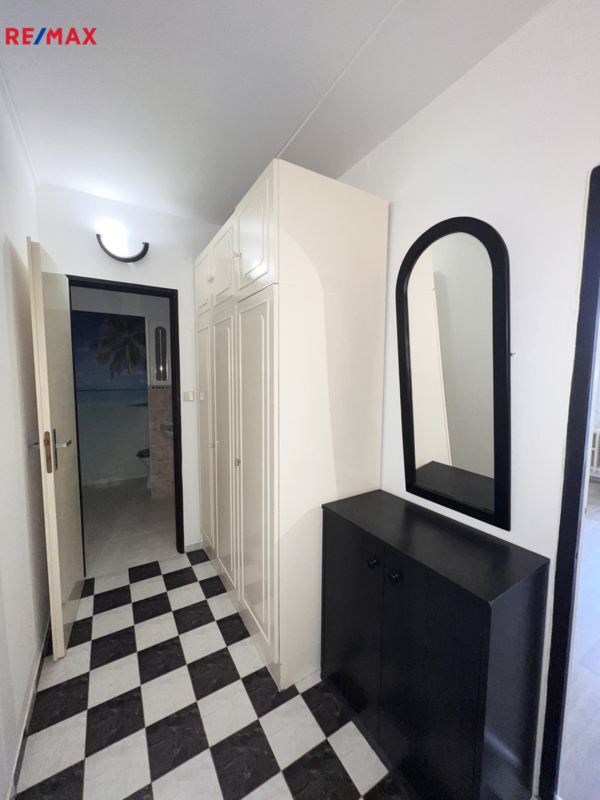 REMAX Delux
