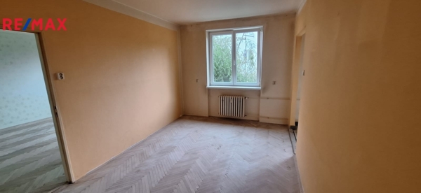 REMAX Delux