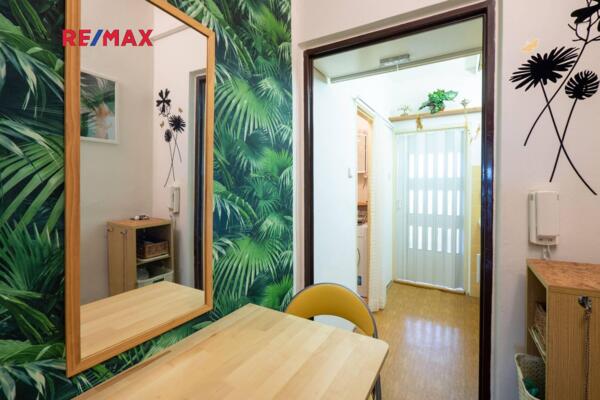 REMAX Delux