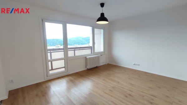 REMAX Delux