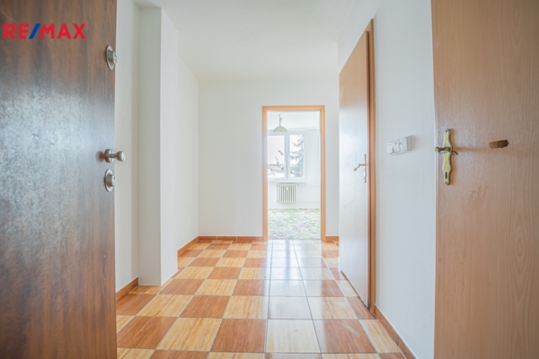 REMAX Delux