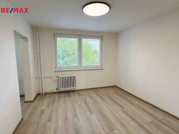 REMAX Delux