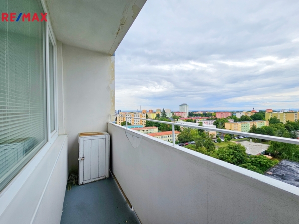 REMAX Delux