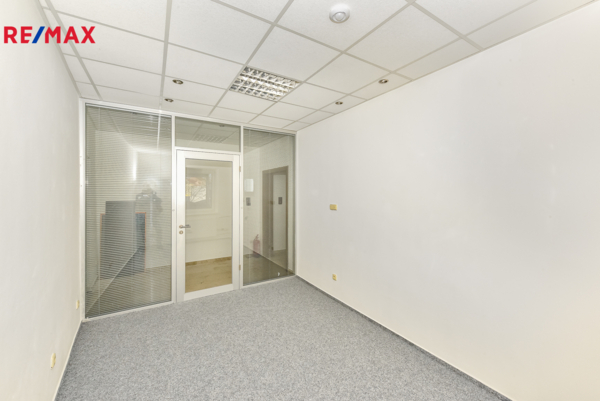 REMAX Delux