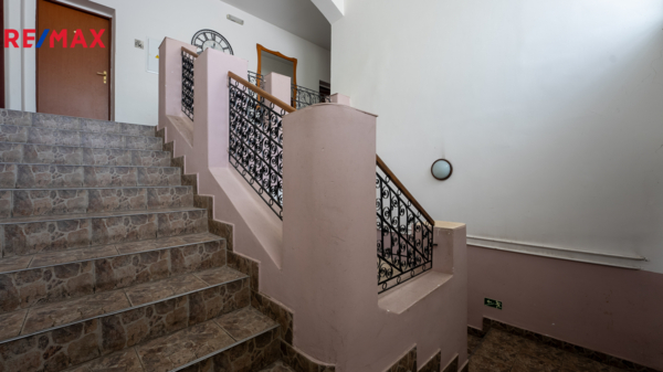 2910884.jpg