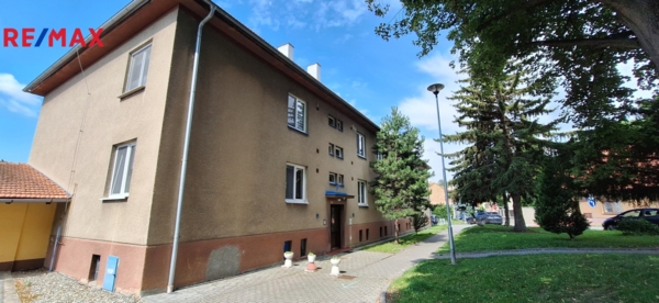 2932607.jpg