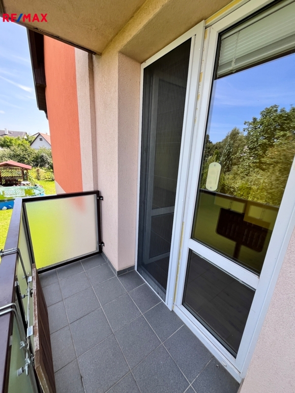 REMAX Delux
